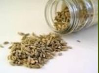 Fennel Seeds