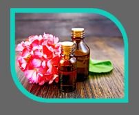 Geranium Oil