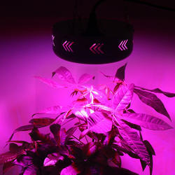 Gl Altair 60 Led Grow Light