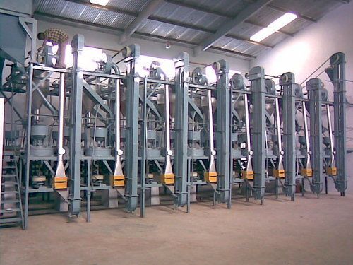 Isabgol Processing Plant Size: Customized