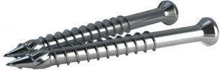 Ss Wood Screw