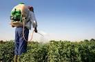 Agricultural Pesticides