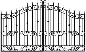 Black Attractive Look Iron Gates