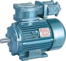 Industrial Flameproof Motor