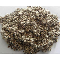 Cotton Seed Hull - Premium Quality Fiber Material, Ideal for Sustainable Agricultural Use