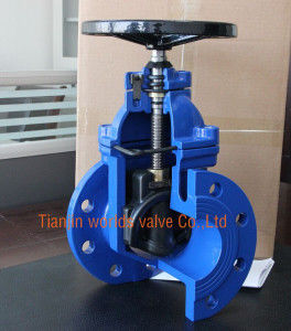 Ductile Iron Valves