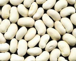 White Kidney Bean Extract