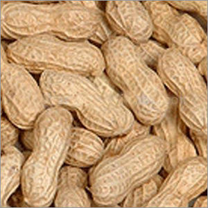Peanut Kernels