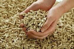 Biomass Pellets