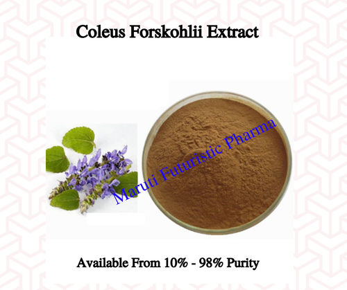 Coleus Forshohlii Extract