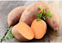 Sweet Potato