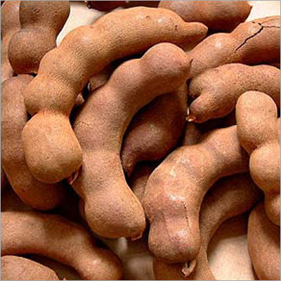 Indian Tamarind