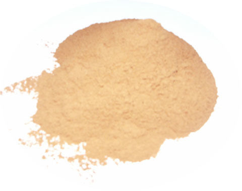 Coconut Shell Powder