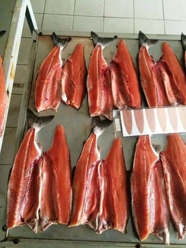 Frozen Salmon Fillets Portion