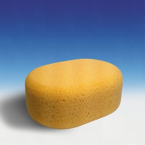 4m Oval Sponge