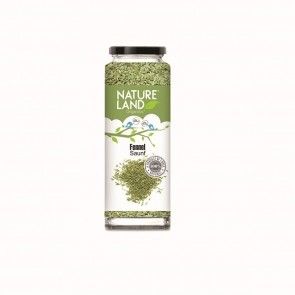 Natureland Organics Fennel (Saunf)-100 gms