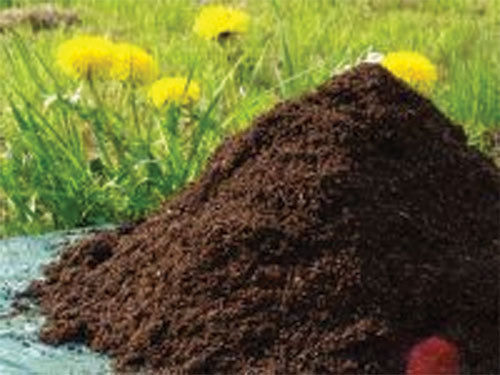 Brown Organic Fertilizer