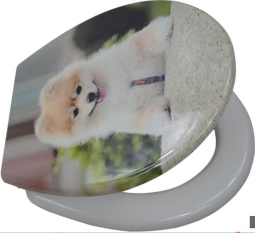 Stainless Steel Designer Toilet Seats