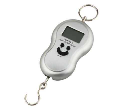 Silver Portable Electronic Scale