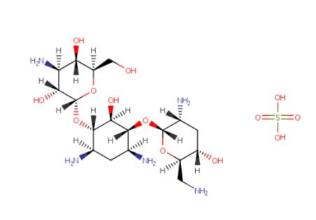 Tobramycin Sulphate