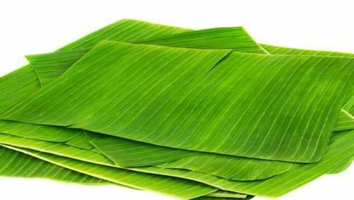 Banana Leaves