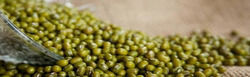 Green Moong Dal - Whole Organic Green Pulses | High Purity, Hygienically Processed, Long Shelf Life