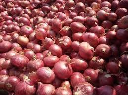 Indian Onion