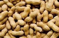 Indian Peanuts
