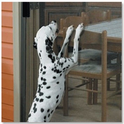 Pet Screen Avoid Pets Falling Down Vinyl Coated Polyester