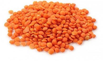 Masoor Dal - Whole Red Lentils | High Protein, Rich in Iron and Magnesium, Nutritious Flavor