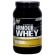 Gxn Armour Whey Protein Advanced 2 Lbs, (Strawberry Milkshake)