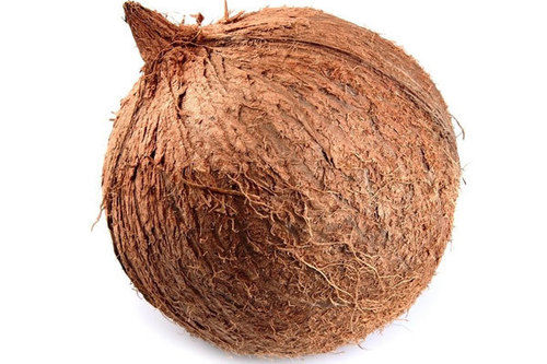 Organic Semi Husked Coconut