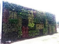 Vertical Garden Developing Service