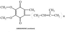 Coenzyme Q10 Powder Efficacy: Promote Nutrition