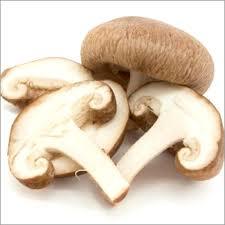 White Fresh Mushroom