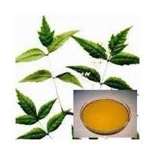 Neem Oil