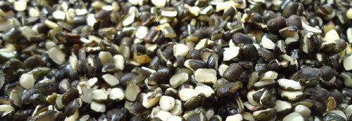 Black Gram - High Quality Black Legume, Sourced Directly from Trusted Growers