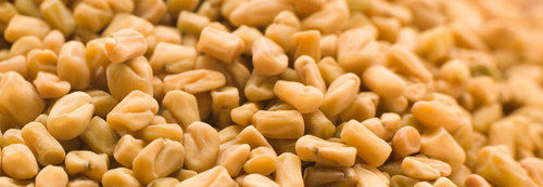 Fenugreek Seeds