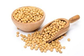 Soybean Extract Isoflavones