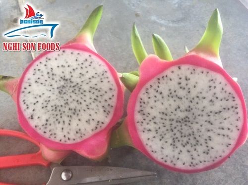 Fresh Dragon Fruit (White Flesh)