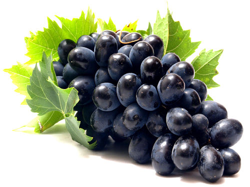 Fresh Black Grape