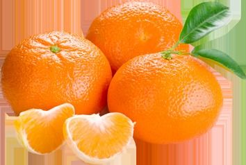 Common Fresh Orange