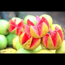 Green And Yellow Guava