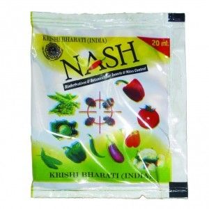 Nash 20ml