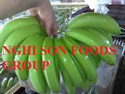 Fresh Green Banana - Whole, Very Sweet Flavor, 22% Max Moisture, 24 Months Shelf Life, No Harmful Chemicals