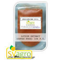 lutein powder