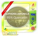 Quercetin Soluble Extract 95%