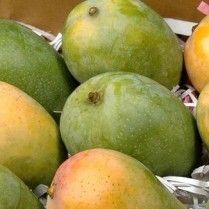 Fresh Mangoes