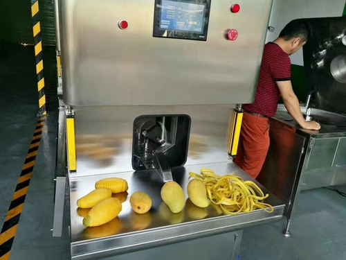 Fruit Peeling Machine