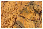 Bidassar Gold Marble